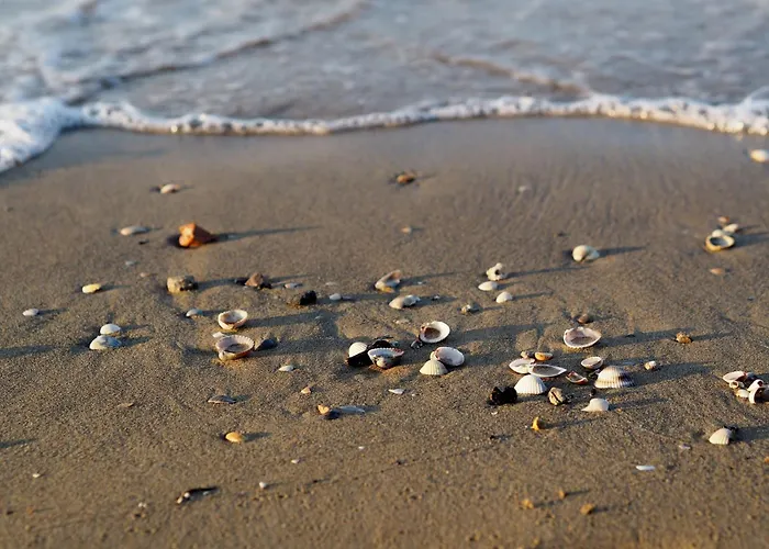 Cozy Flat With Private Garden Next To The Sea *