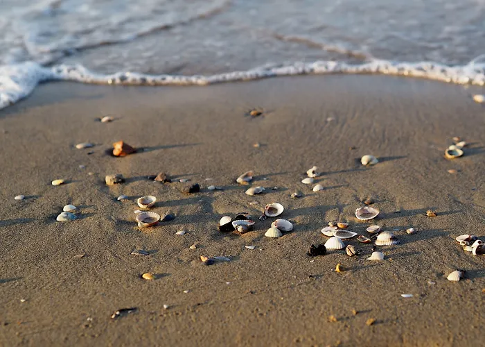 Cozy Flat With Private Garden Next To The Sea * 비비오네